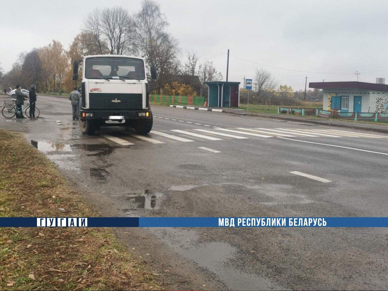 Пьяный пешеход попал под грузовик в Чаусском районе